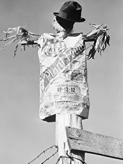 Missouri Prints: Scarecrow