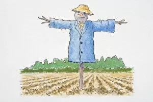 Scarecrow in blue coat and yellow hat standing in a field