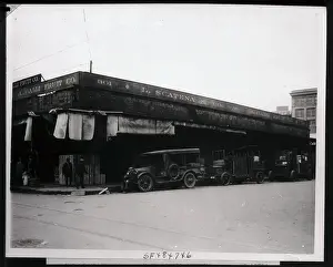 Scatena Fruit Company