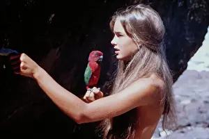 Scene from Blue Lagoon
