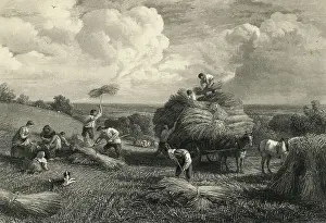 Scene of Labour with Farm Workers in The Fields