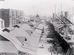 Scene of Wool Industry in Australia
