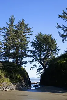 Clayoquot Sound Prints: Scenery At Long Beach In Pacific Rim National Park Near Tofino; British Columbia Canada