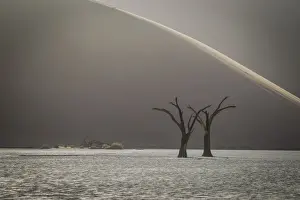 Camel Thorn Prints: Scenic landscape at Deadvlei, Namib-Naukluft National Park, Hardap Region, Namibia