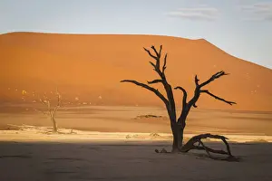 Camel Thorn Prints: Scenic landscape at Deadvlei, Namib-Naukluft National Park, Hardap Region, Namibia