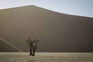 Camel Thorn Prints: Scenic landscape at Deadvlei, Namib-Naukluft National Park, Hardap Region, Namibia