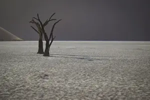 Camel Thorn Prints: Scenic landscape at Deadvlei, Namib-Naukluft National Park, Hardap Region, Namibia