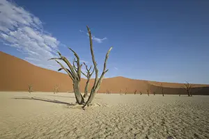 Foreground Prints: Scenic landscape at Deadvlei, Namib-Naukluft National Park, Hardap Region, Namibia