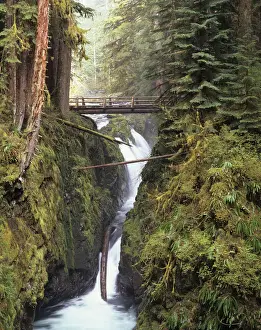 Footbridge Prints: Scenic landscape with Sol Duc Falls, Olympic National Park, Washington State, USA