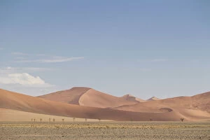 Images Dated 3rd January 2017: Scenic sand dune landscape, Namib-Naukluft National Park, Hardap Region, Namibia