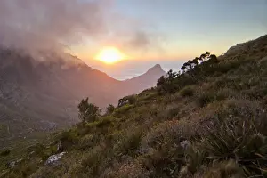 Scenic sunset over Table Mountain and Lions Head as seen from a hiking trail up Devils Peak, Cape Town, Western Cape Province, South Africa