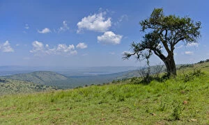 Images Dated 23rd February 2017: Scenic view, Akagera National Park, Parc National de lAkagera, Eastern Province, Rwanda