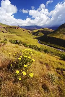 Scenic View of the Bushmans River Valley