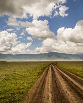 Images Dated 1st February 2017: Scenic view of landscape with dirt road, Ngorongoro Crater, Tanzania