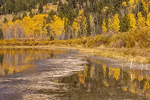 Prints of Two Ocean Lake is located in Grand Teton National Park, in the U. S. state of Wyoming Nature's Majesty: Grand Teton National Park's breathtaking beauty captured: Scenic view of Two Ocean Lake in autumn, Grand Teton National Park, Wyoming, USA