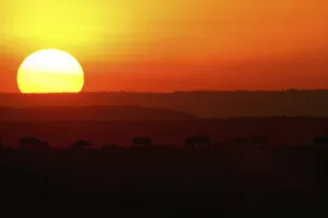 Sunse Gallery: Scenic View of a Sunset over the Bushveld