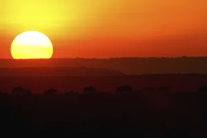 Sunse Gallery: Scenic View of a Sunset over the Bushveld