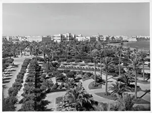 Gardens Prints: Scenic View In Tripoli, Libya