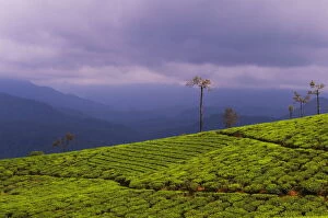 Western Ghats Collection: Scenic View of Valparai