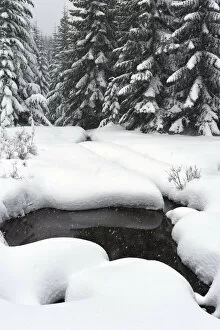 Images Dated 12th December 2015: Scenic winter landscape, Crystal Mountain area, Washington State, USA