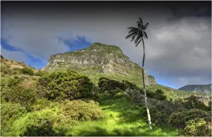 Tasman Sea Prints: Scenically beautiful and a world heritage designated location