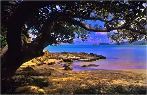 Tasman Sea Prints: Scenically beautiful and a world heritage designated location