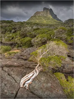 Tasman Sea Prints: Scenically beautiful and a world heritage designated location