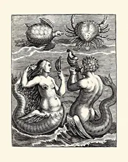The Pierce Archive Prints: Schildpad, krab, zeemeermin en zeemeerman