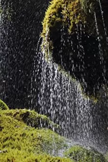 Schleierfalle falls, Ammerschlucht gorge, Upper Bavaria, Germany, Europe