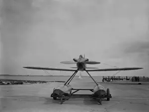 Schneider Entrant
