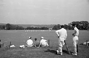 Equi Prints: School Cricket