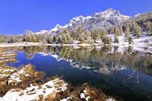 Schwarzsee or Lai Nair with snow-covered larch forest, Tarasp, Engadin, Graubunden, Switzerland