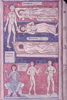 Fotosearch Collection Prints: Scientific Manuscript