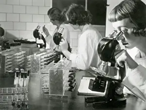 Poliomyelitis Prints: Scientists Studying Polio Vaccine