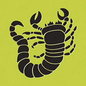Zodiac Prints: Scorpio