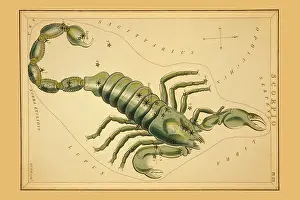 Astrology Prints: Scorpio