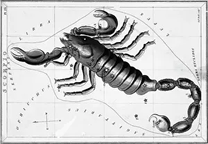 Scorpio Constellation Illustrated on Star Map