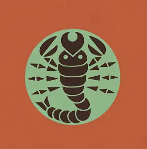Scorpio Prints: Scorpio Zodiac Symbol