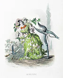 Grandville Prints: Scots pine flower - Stunning Hand-colored plate from 'Les Fleurs Animees by J