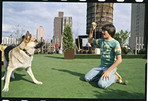 Scott Baio Playing with Dog