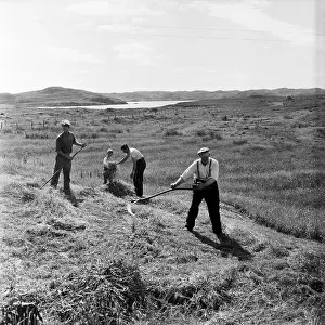Scythe Prints: Scottish Harvest