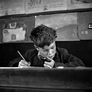 Scottish Schoolboy