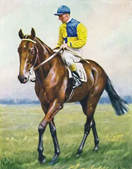 Racetrack Prints: Scottish Union
