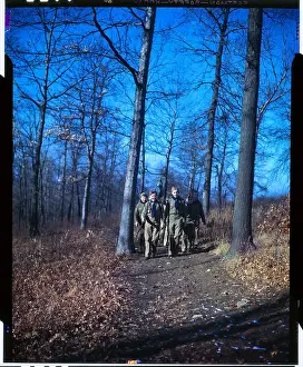 Scouts Walking in Wooded Area