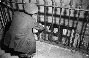 Railings Prints: Scraping By