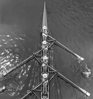Scull Rowers