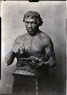 Sculpted Reconstruction Of Early Human