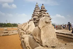 Sculptures of Nandi Bull around ancient Shore Temple at Mahabalipuram, Kanchipuram District, Tamil Nadu, India