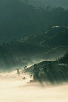 Images Dated 26th December 2010: Sea cloud and the mountain in Nan, Thailand