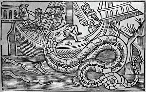 The Sea Of Darkness By Olaus Magnus